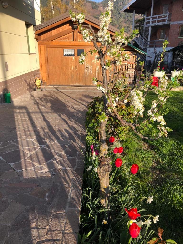 Appartamento Luminoso, Giardino, Vista Dolomiti. Baselga di Pinè Екстериор снимка